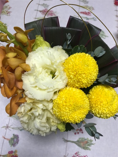 f:id:chakomaru15ichie:20200202202549j:plain f:id:chakomaru15ichie:20200202202549j:plain