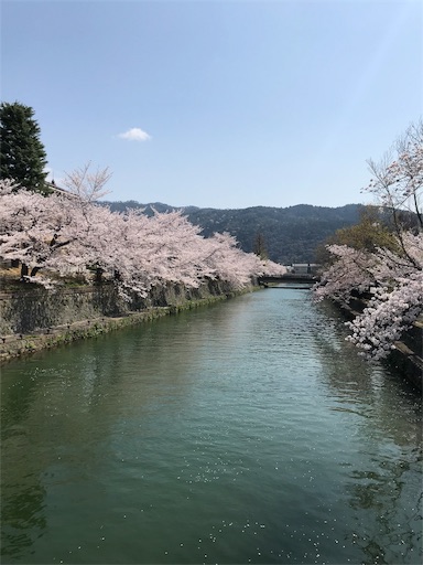 f:id:chakomaru15ichie:20200405161222j:image f:id:chakomaru15ichie:20200405161222j:image