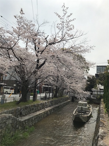 f:id:chakomaru15ichie:20200405161227j:image f:id:chakomaru15ichie:20200405161227j:image