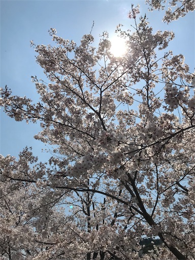 f:id:chakomaru15ichie:20200405161428j:plain f:id:chakomaru15ichie:20200405161428j:plain