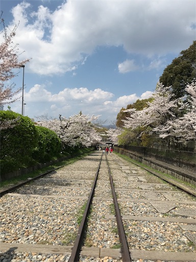 f:id:chakomaru15ichie:20200405161449j:plain f:id:chakomaru15ichie:20200405161449j:plain