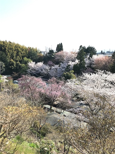 f:id:chakomaru15ichie:20200408001128j:image f:id:chakomaru15ichie:20200408001128j:image