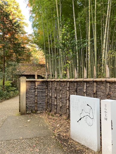 f:id:chakomaru15ichie:20201119204730j:plain