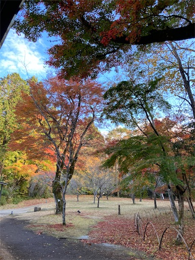 f:id:chakomaru15ichie:20201119204759j:plain