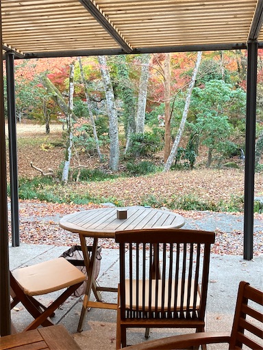 f:id:chakomaru15ichie:20201119204817j:plain