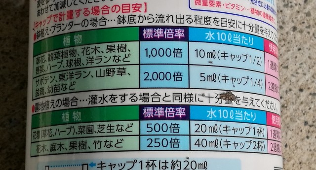f:id:chakuchumi0701:20190225121641j:image