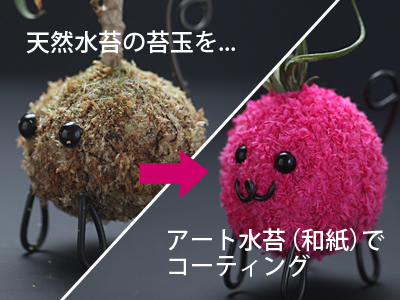 f:id:chakuchumi0701:20190314213310j:plain