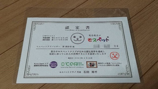 f:id:chakuchumi0701:20190502214331j:image