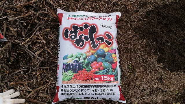 f:id:chakuchumi0701:20190503135045j:image