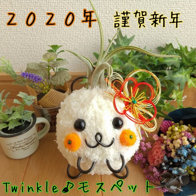 f:id:chakuchumi0701:20200101113146j:image