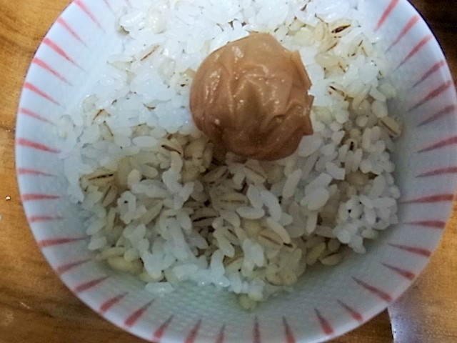 f:id:chakuma2017:20180616084711j:plain f:id:chakuma2017:20180616084711j:plain