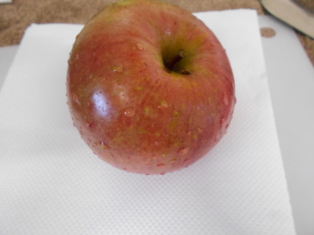 f:id:chakuma2017:20190123153034j:plain f:id:chakuma2017:20190123153034j:plain