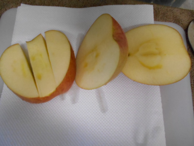 f:id:chakuma2017:20190123153127j:plain f:id:chakuma2017:20190123153127j:plain