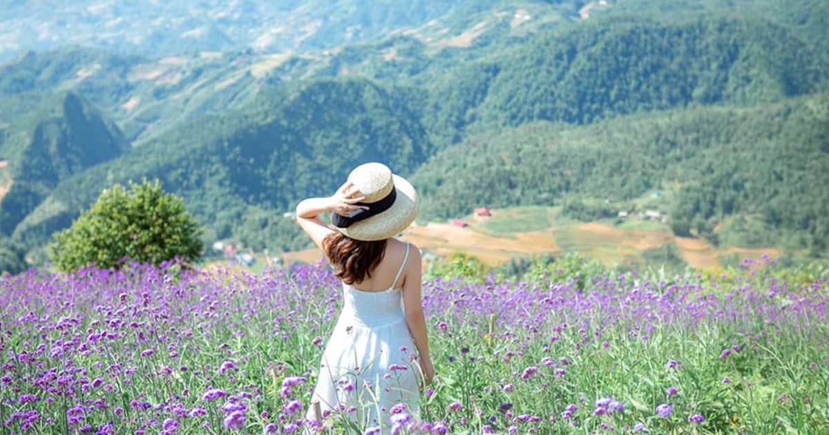 肩書を手放して生きる 部分 時間限定でもいい 母 妻 嫁 娘 長女 女性 年齢 簡単に暮らせ