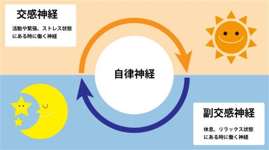 f:id:challenge20s:20220825182409j:image