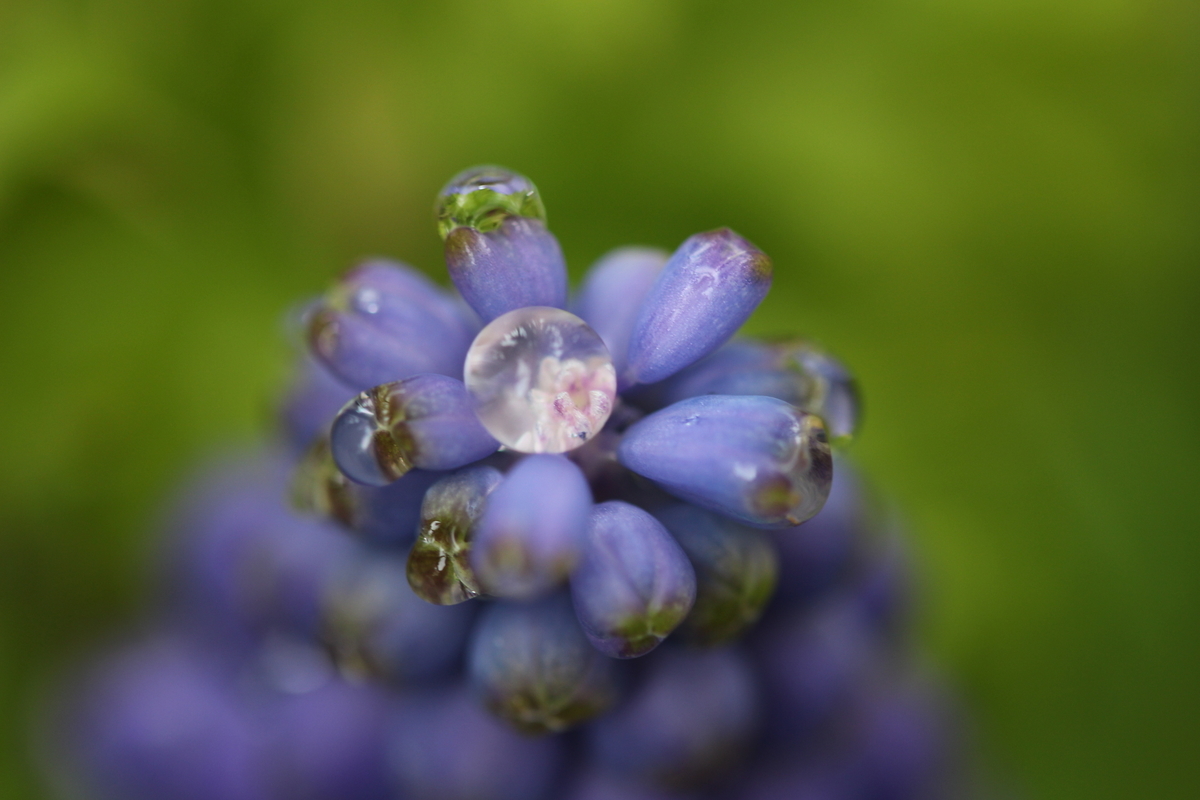 f:id:challenge_funlife:20190630052351j:plain