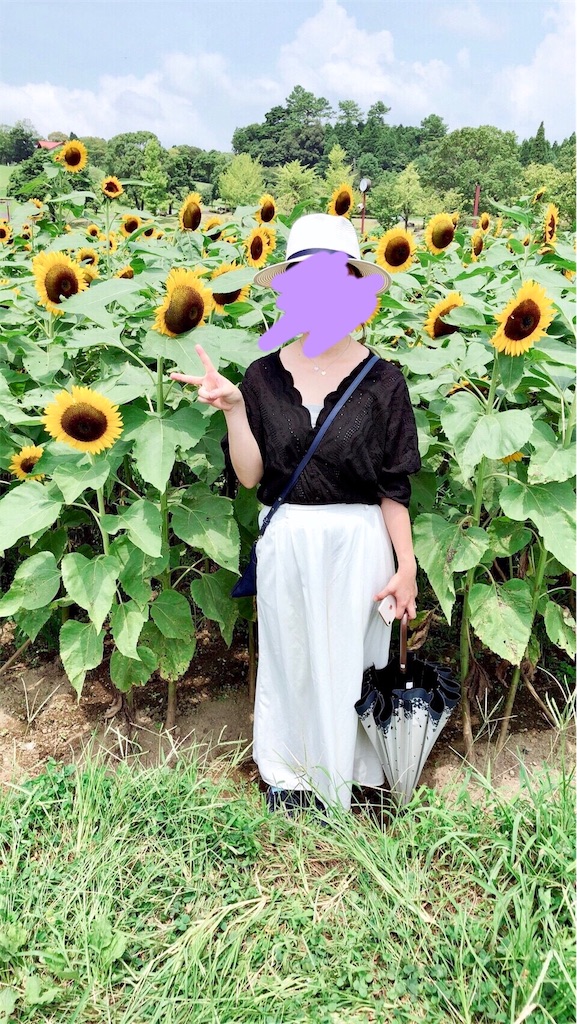 f:id:challengehousewife:20180806134217j:image