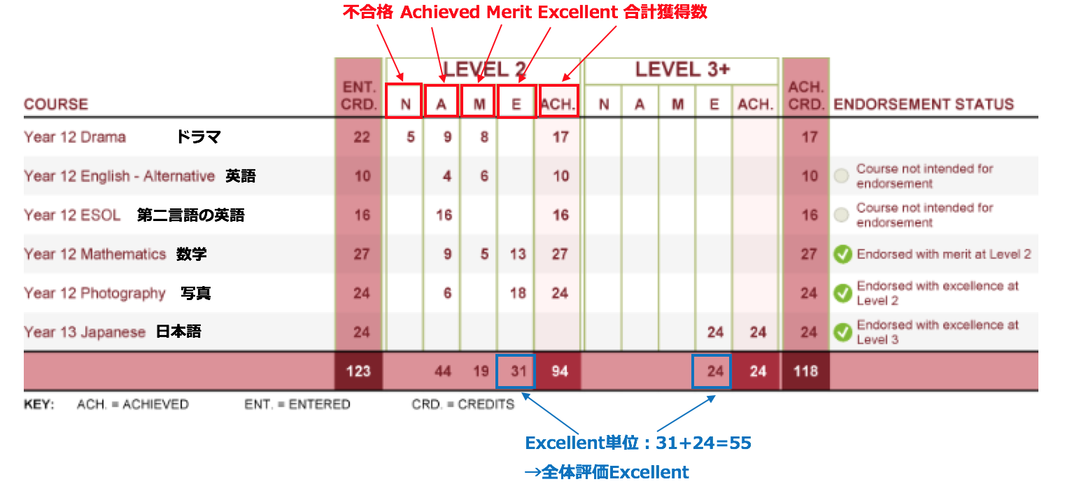 NCEAレベル２成績