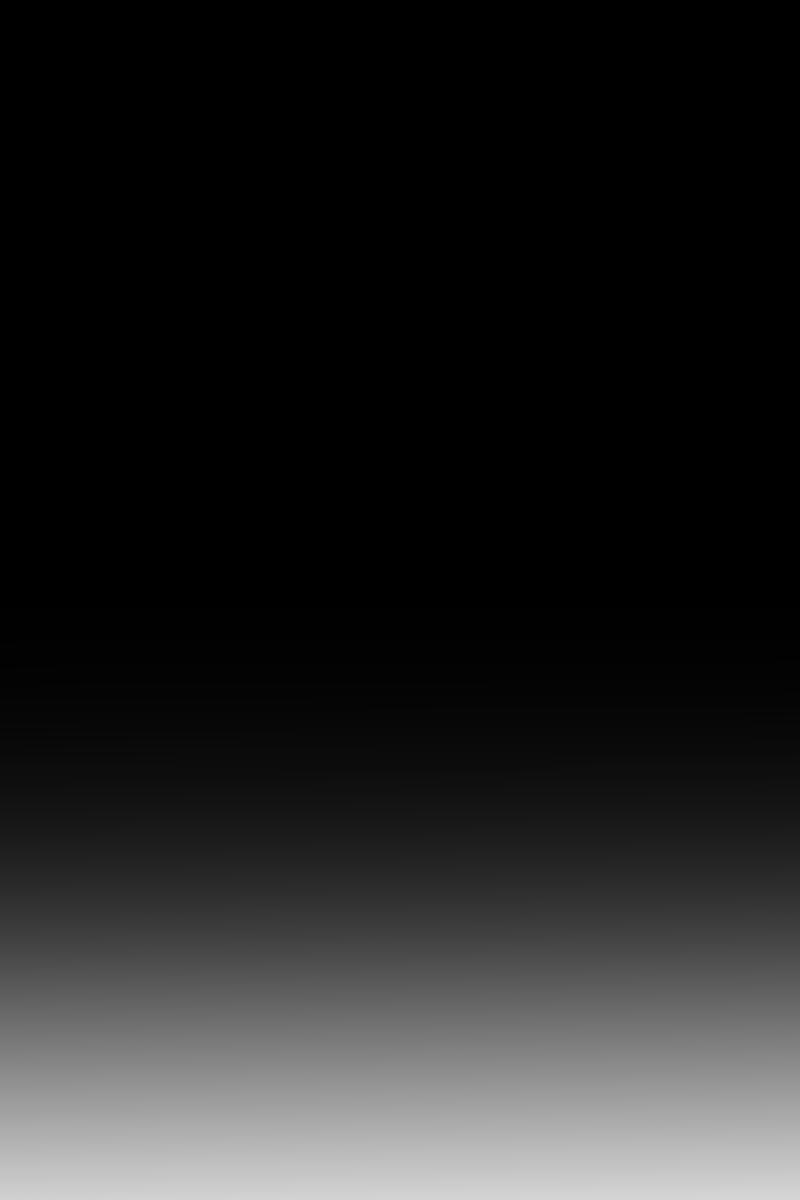 f:id:cham-pig-non:20190424133255p:plain