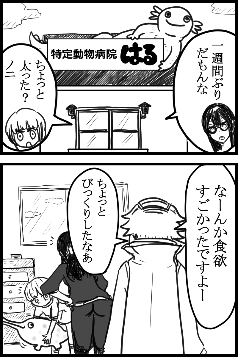 f:id:cham-pig-non:20190922160606p:plain
