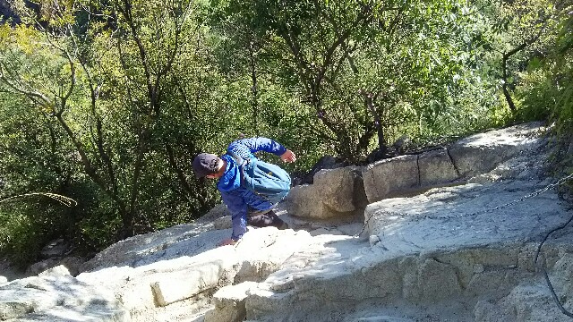 f:id:chama33:20170504123731j:image f:id:chama33:20170504123731j:image