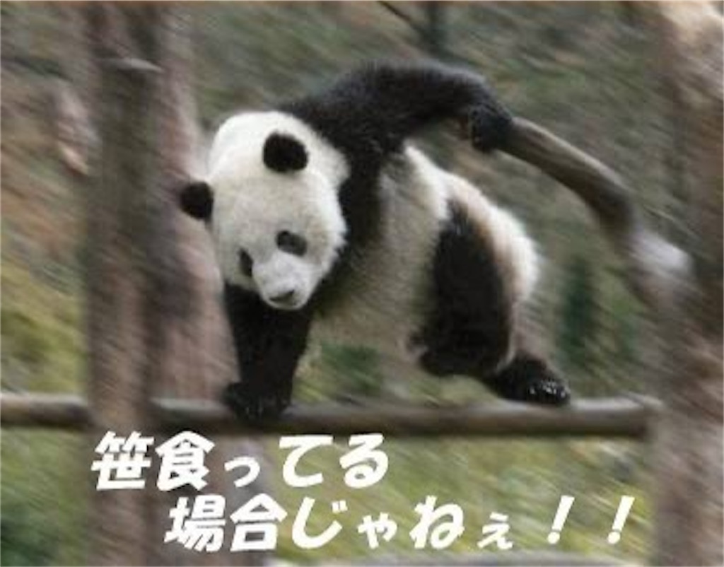 f:id:chama_subscribe:20250221123131j:image