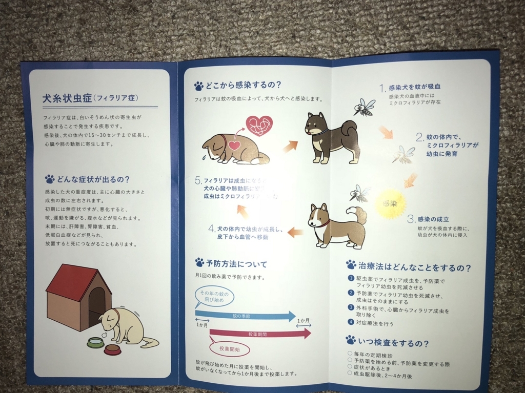 f:id:chamachamaro:20180421003548j:plain