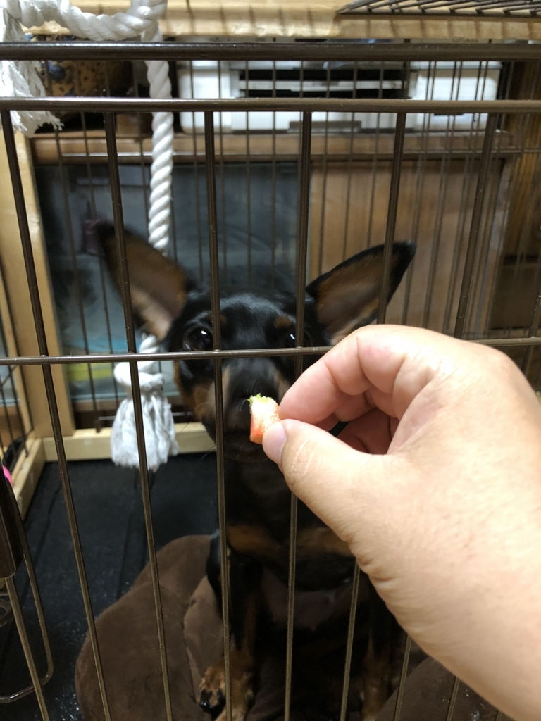 f:id:chamachamaro:20180519102148j:plain