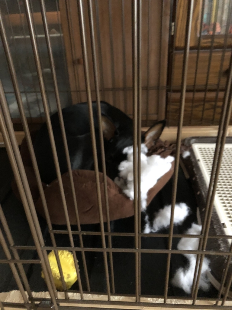 f:id:chamachamaro:20180519102728j:plain