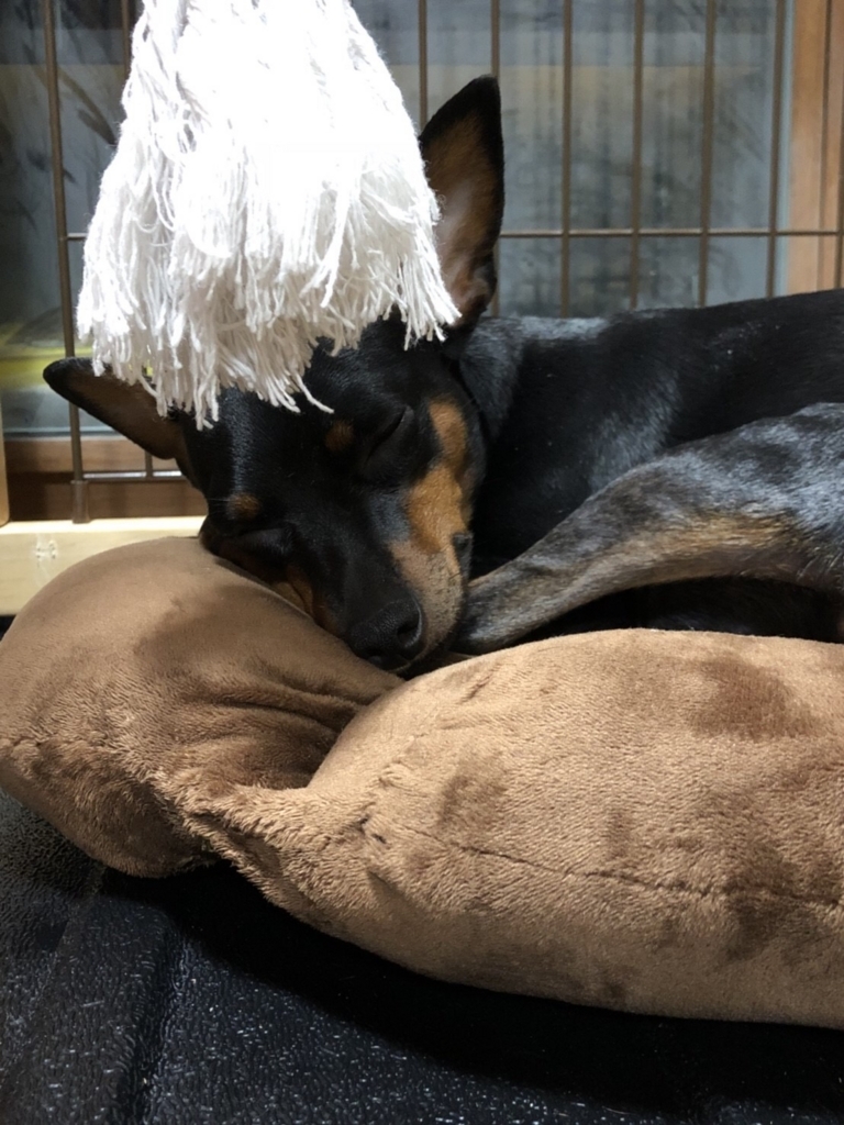 f:id:chamachamaro:20180522234657j:plain