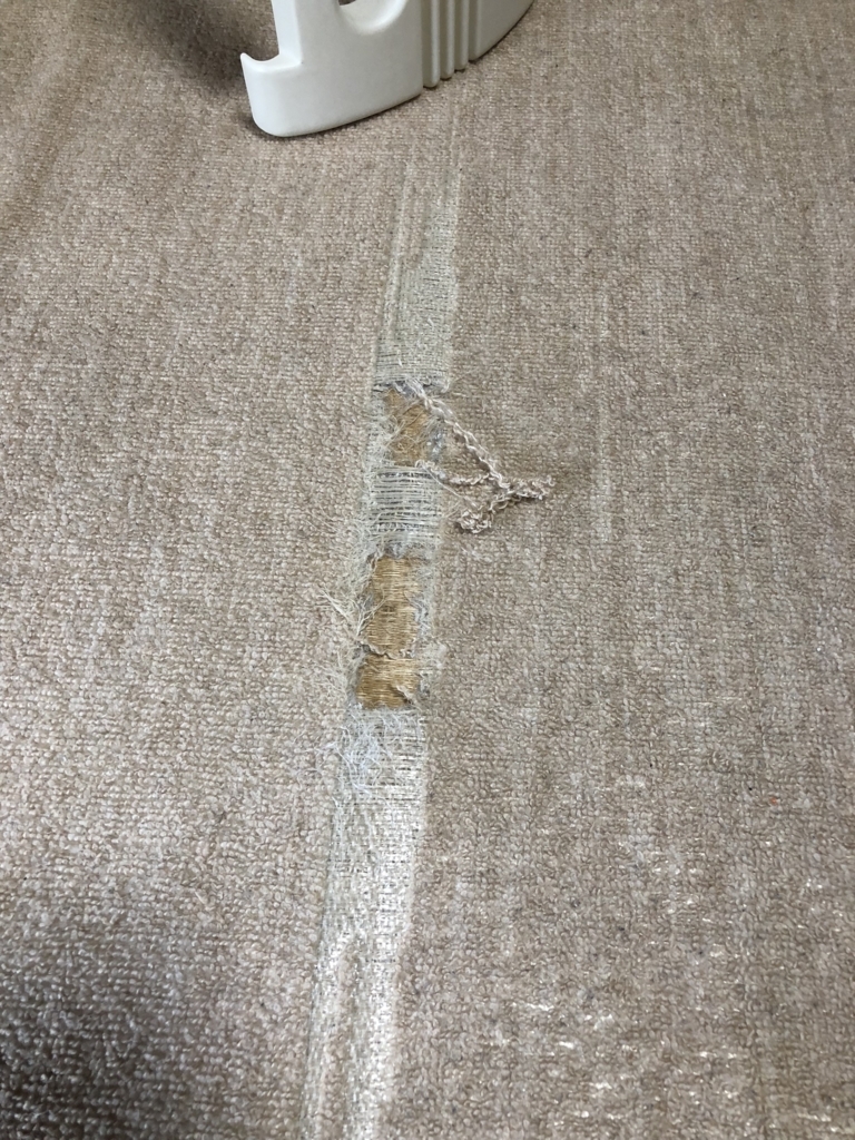 f:id:chamachamaro:20180522235530j:plain