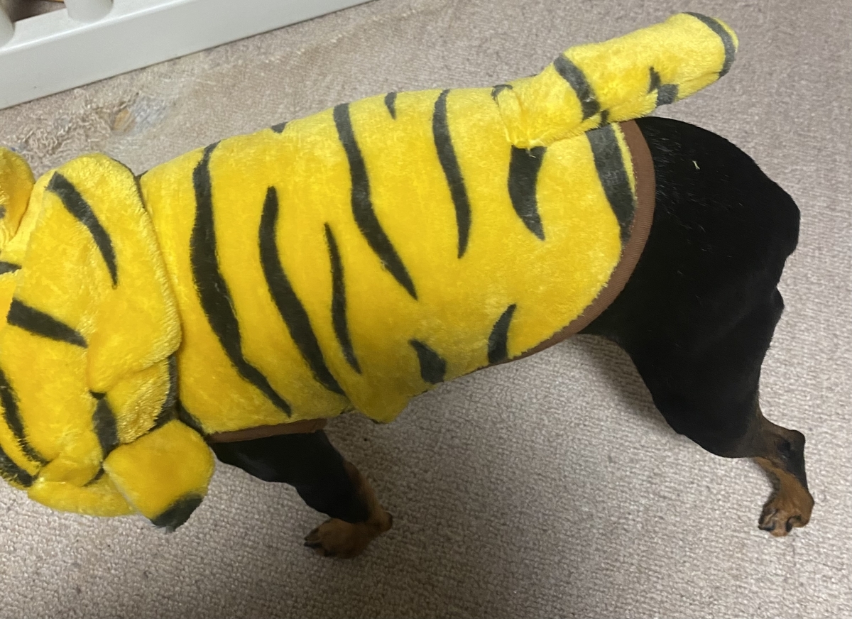 f:id:chamachamaro:20211022110523j:plain