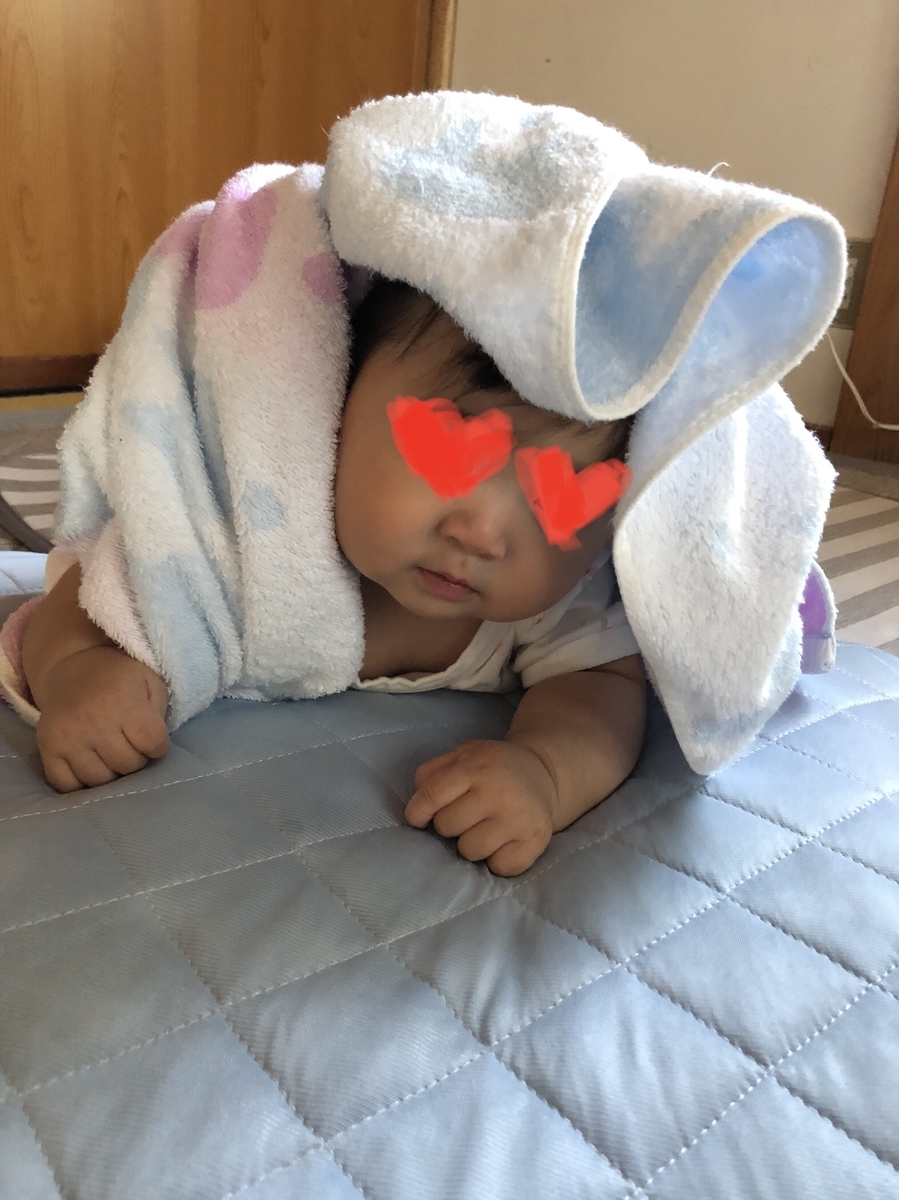 ちゃまめの日常 1分目を離すと ちゃまめママの子育てブログ