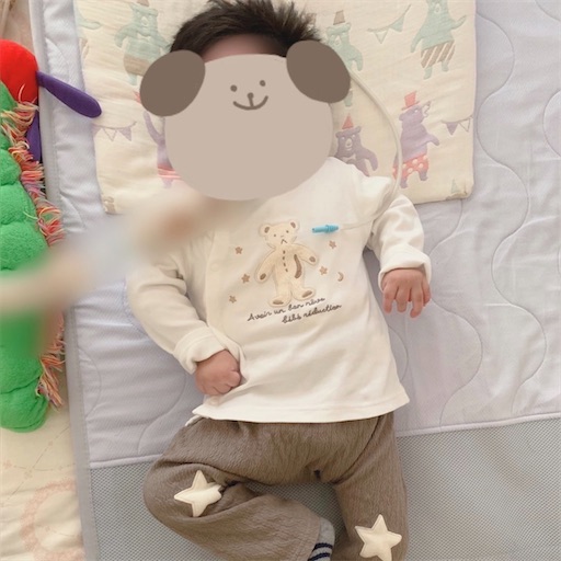 f:id:chamamippi:20220906102445j:image