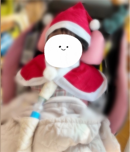 f:id:chamamippi:20231223170458j:image
