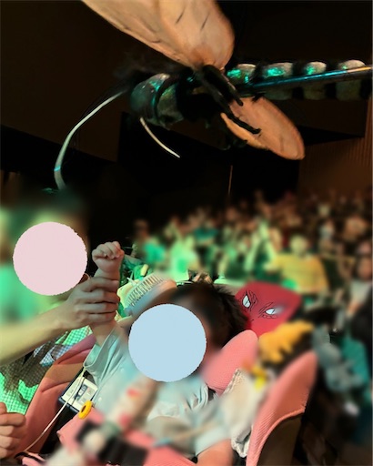 f:id:chamamippi:20240814110220j:image f:id:chamamippi:20240814110220j:image