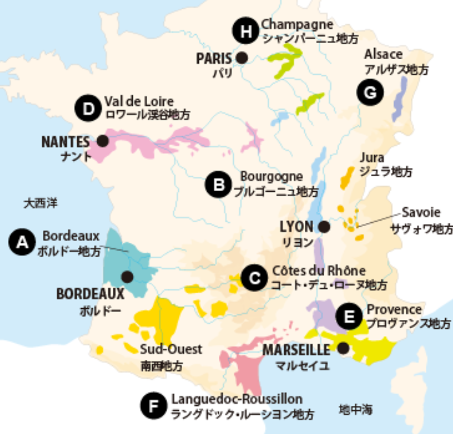 f:id:chambertin_story:20200229145941p:plain