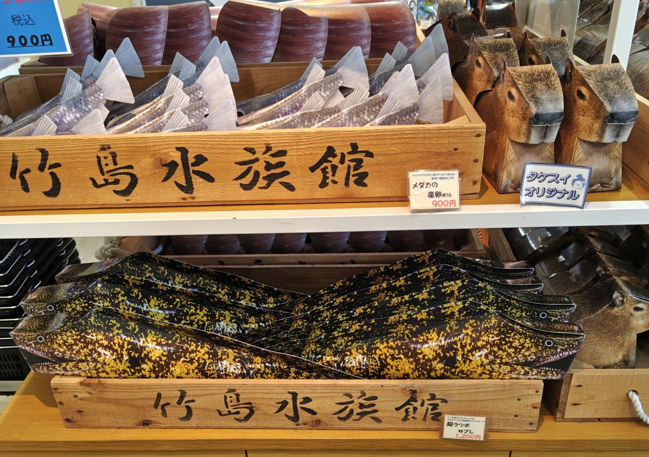 蒲郡🦀愛知遠征の寄り道ガイド|手書き解説パネルと深海生物タッチが