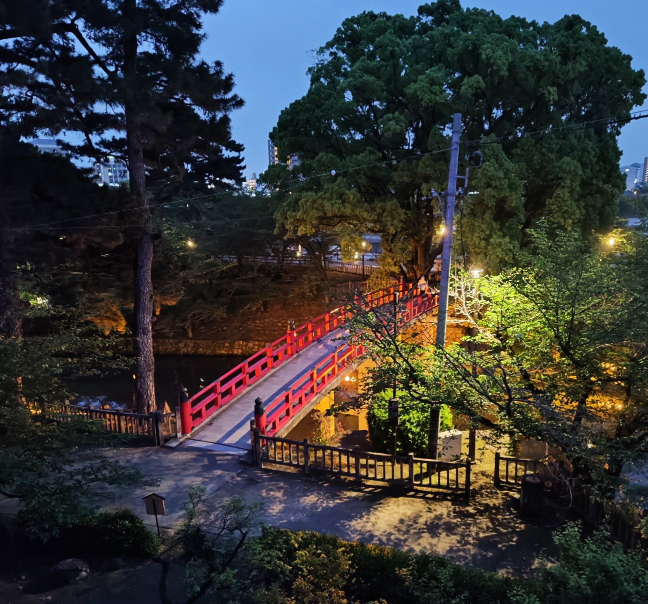岡崎城公園✨「五万石藤まつり」甘い香りと紫のカーテンに癒される夜の