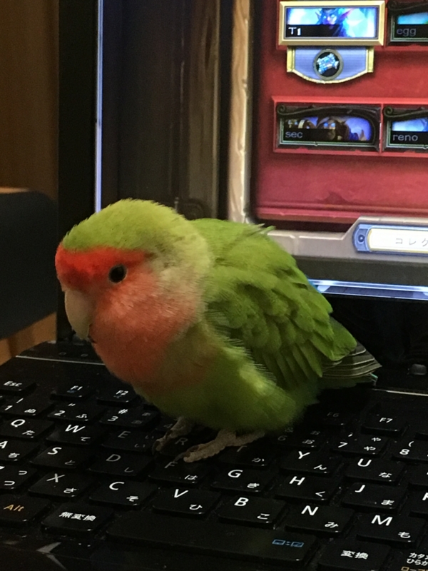 f:id:chameleos:20170414182920j:plain