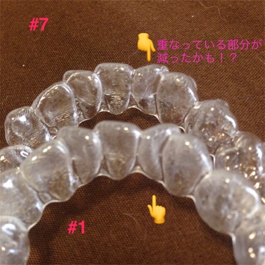 f:id:chamichobi:20161216122026j:image