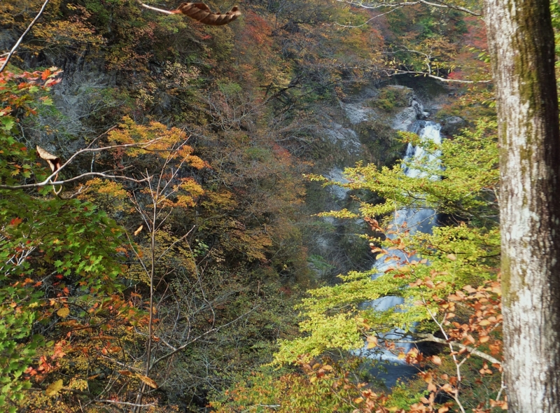f:id:chamikin-s251:20151024083227j:image