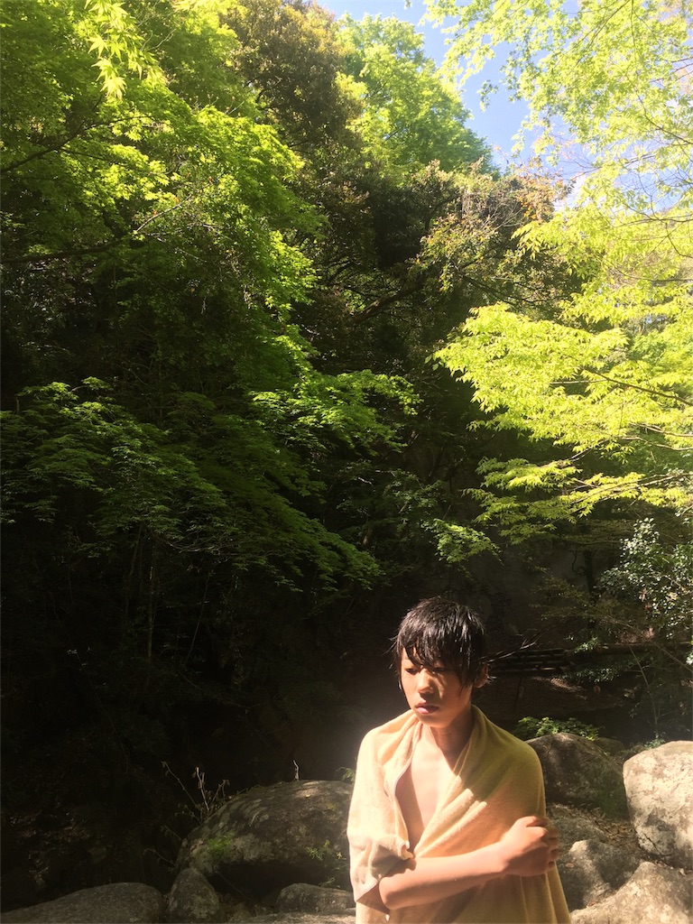 f:id:chaminomori:20170525173132j:image