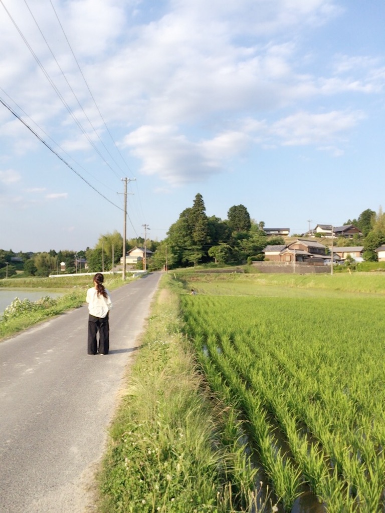 f:id:chaminomori:20170616154722j:image
