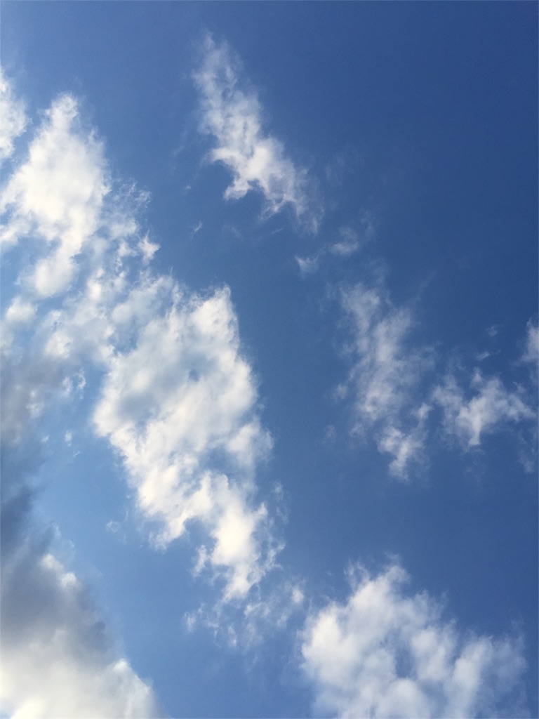 f:id:chaminomori:20170616154739j:image