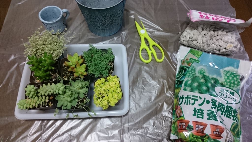 f:id:chamo-aqua:20160701221243j:plain f:id:chamo-aqua:20160701221243j:plain