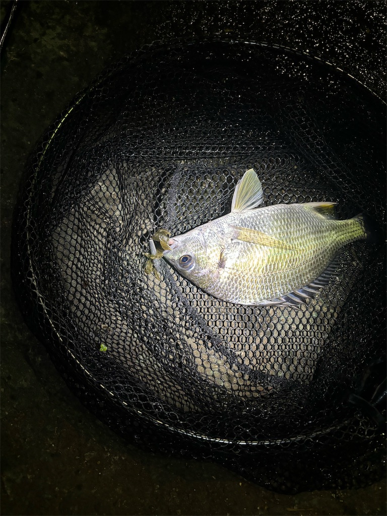 f:id:chamo-fishing:20240710214456j:image
