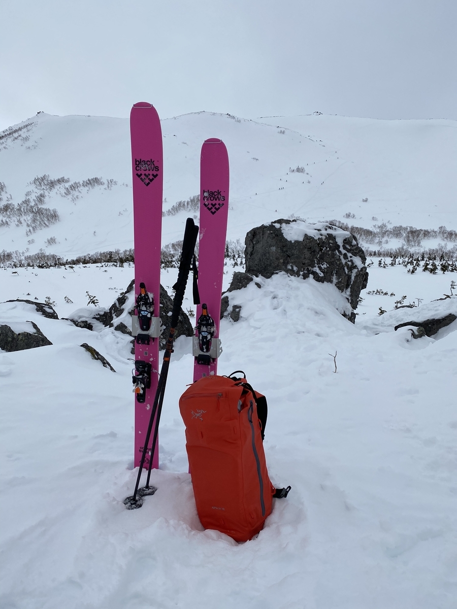 blackcrows Duos Free bird スキー ストック black crows Duos