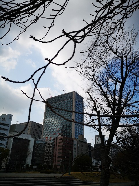 f:id:chamomilk:20220113113930j:image