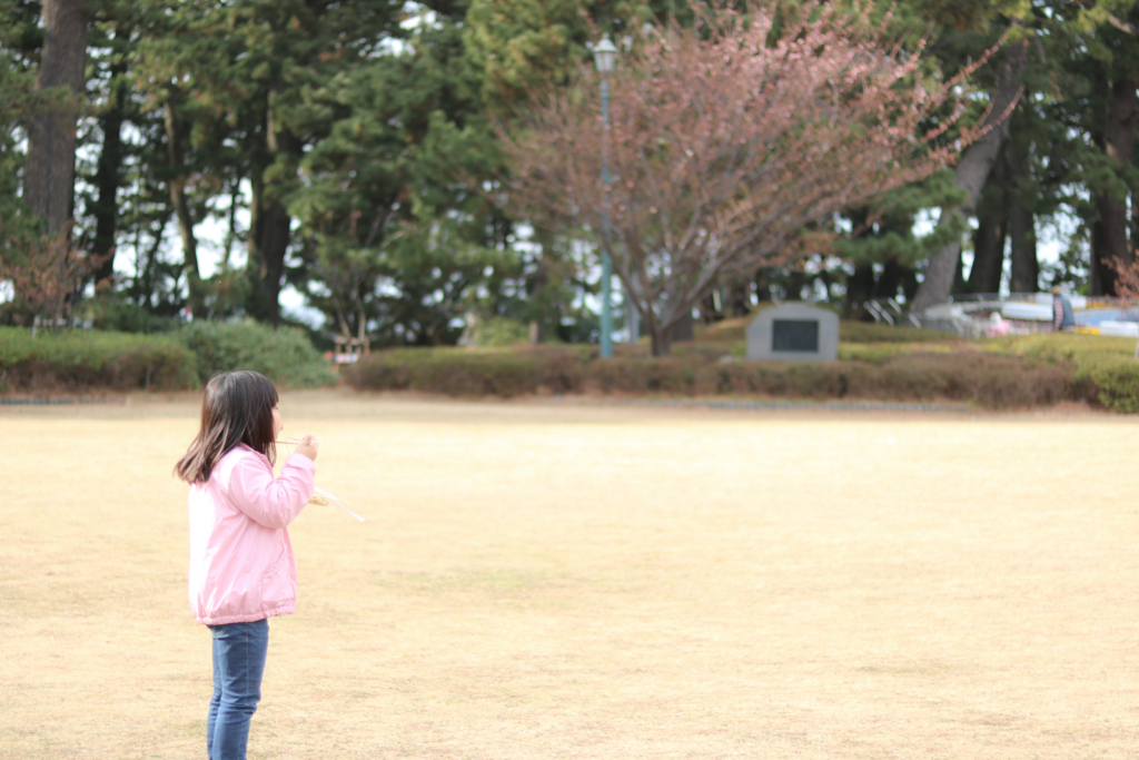 f:id:chamoriettie:20180129124724j:plain